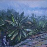 Morning Mist, Palace Estates, Coorg