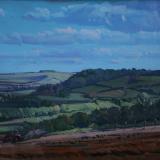 Fields between East Knoyle and Tisbury