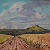 Sheep Path, Wilts