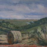 Totterdale Farm, Tisbury 
