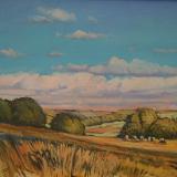 Wiltshire Fields