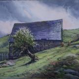 Spring, Wales 